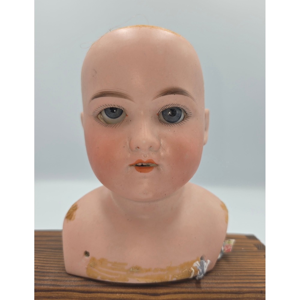 Antique Armand Marseille Floradora A-3-M Bisque Shoulder Doll Head Germany